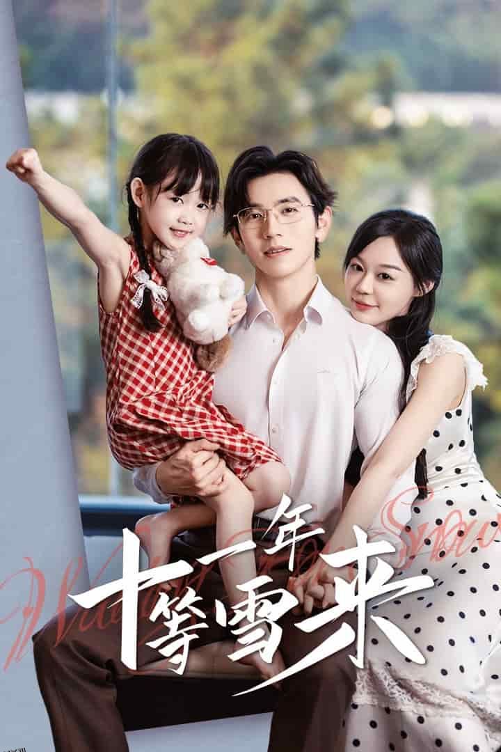 十一年等雪来 海报