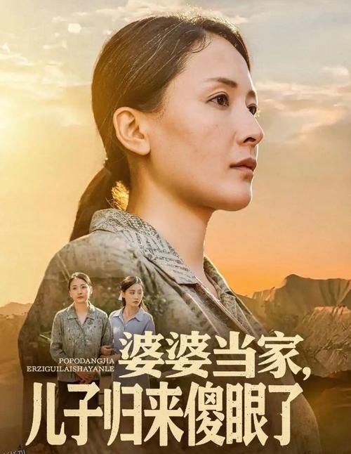 婆婆当家儿子归来傻眼了 海报