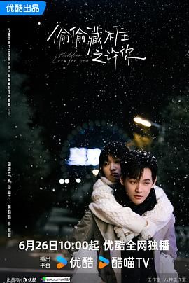 偷偷藏不住之许你 高清海报