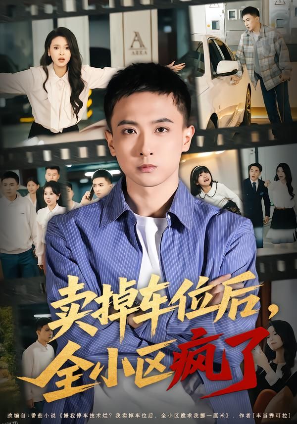 卖掉车位后，全小区疯了 海报