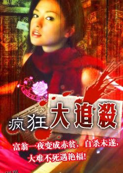 疯狂大追杀 海报