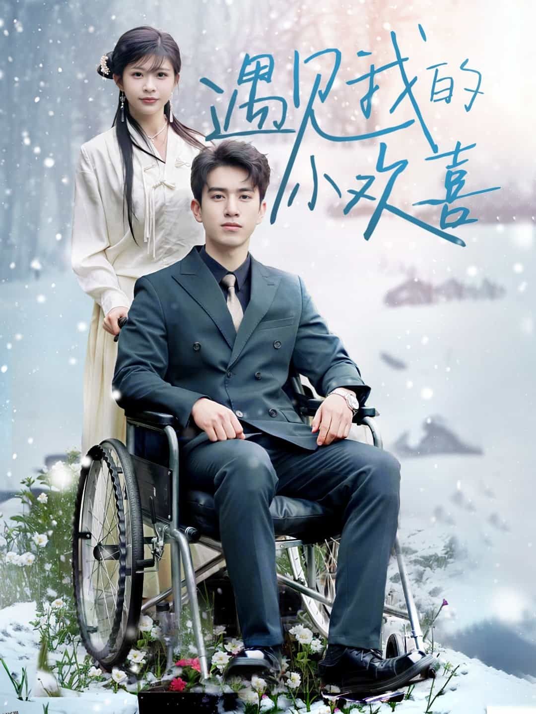 遇见我的小欢喜 海报