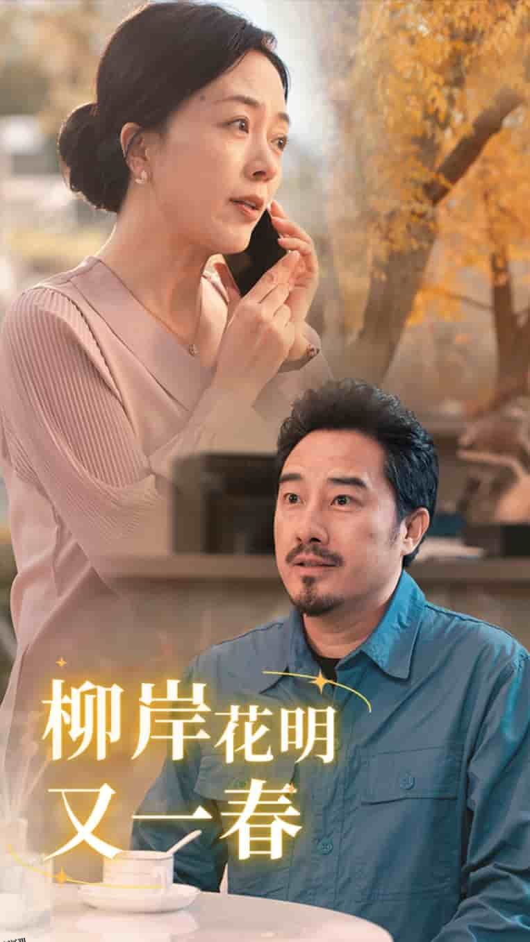 柳暗花明又一春 海报