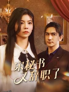 宋秘书又辞职了 海报