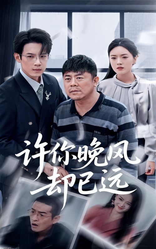 许你晚风却已远 海报