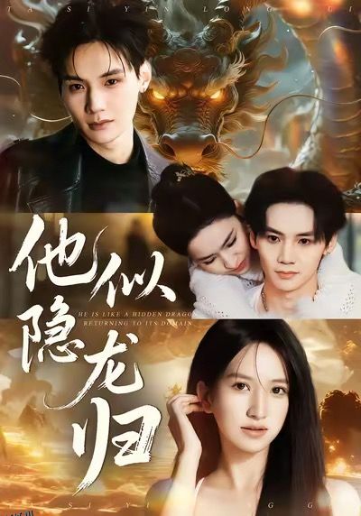 他似隐龙归 海报