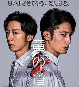 龙道 双面复仇者 海报