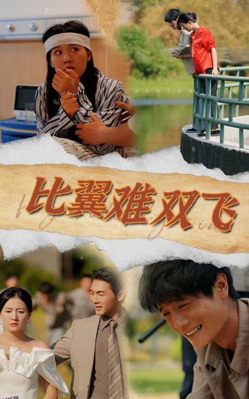比翼难双飞 海报