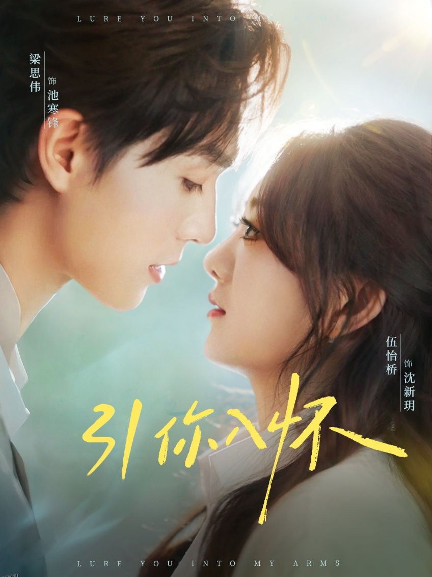引你入怀 海报