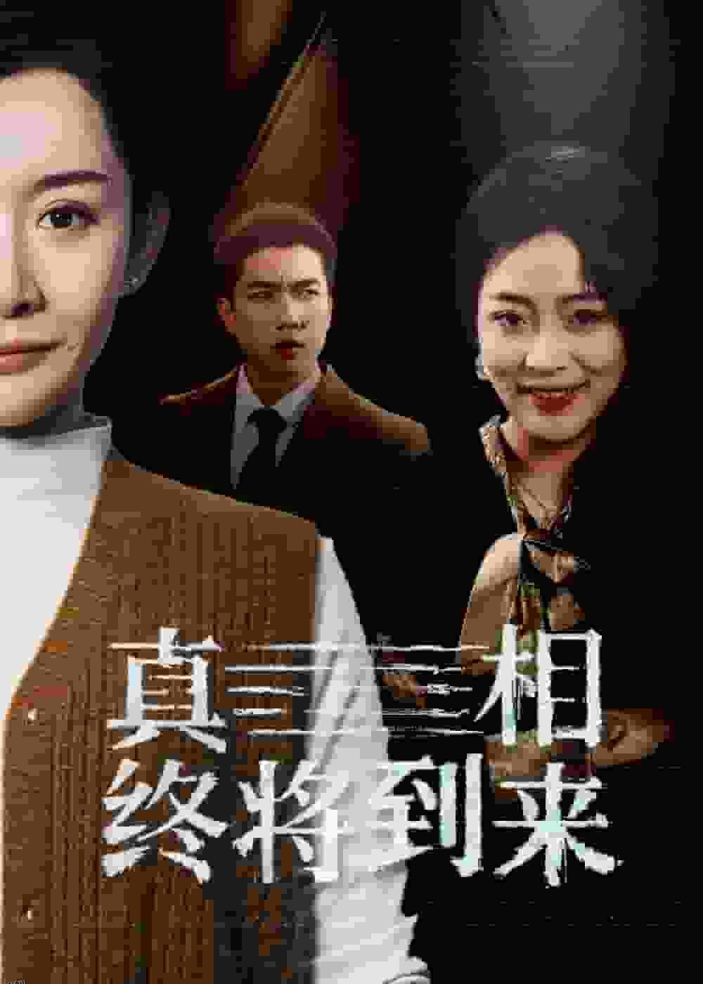 真相终将到来 海报