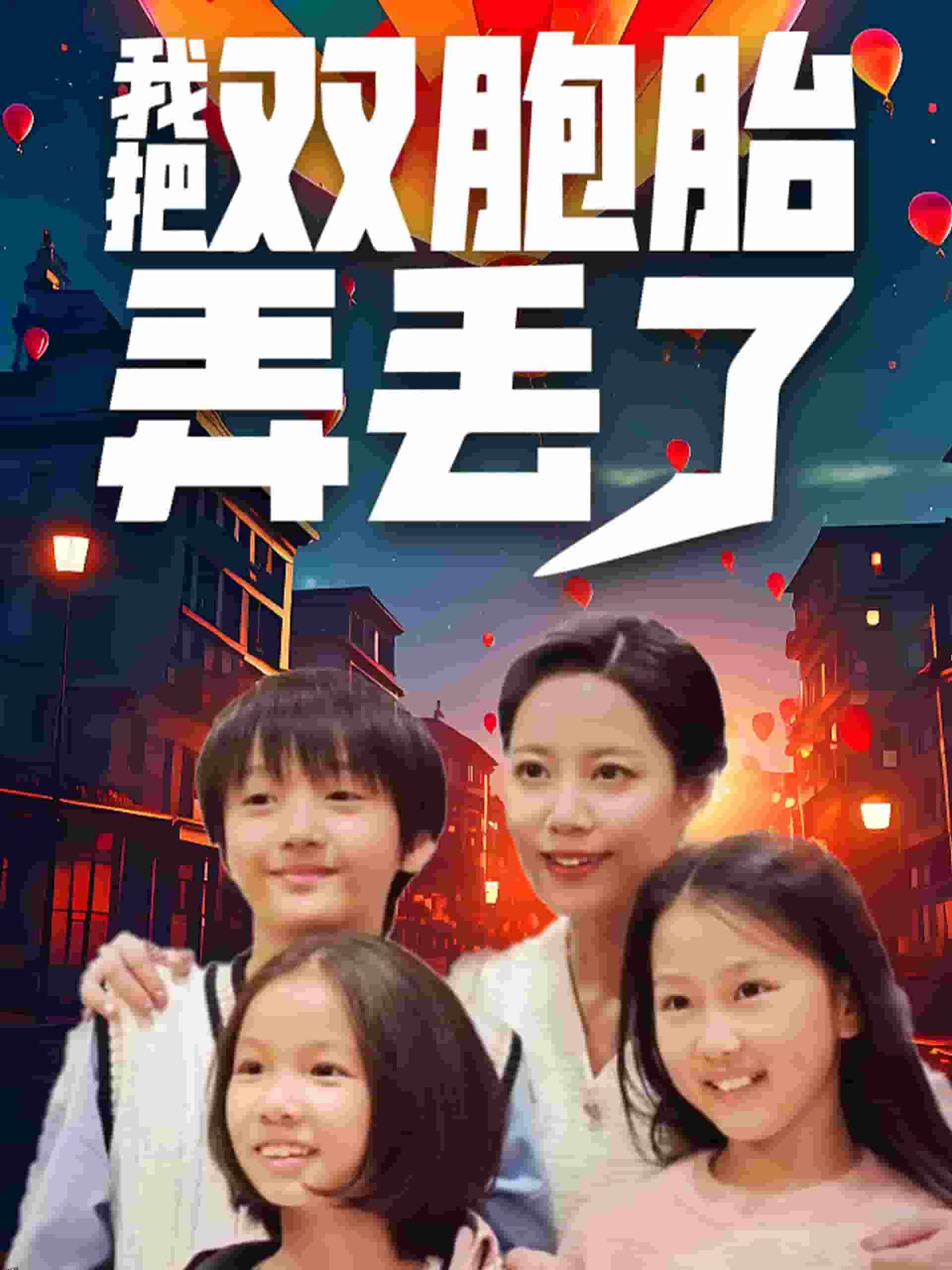 我把双胞胎弄丢了 高清海报