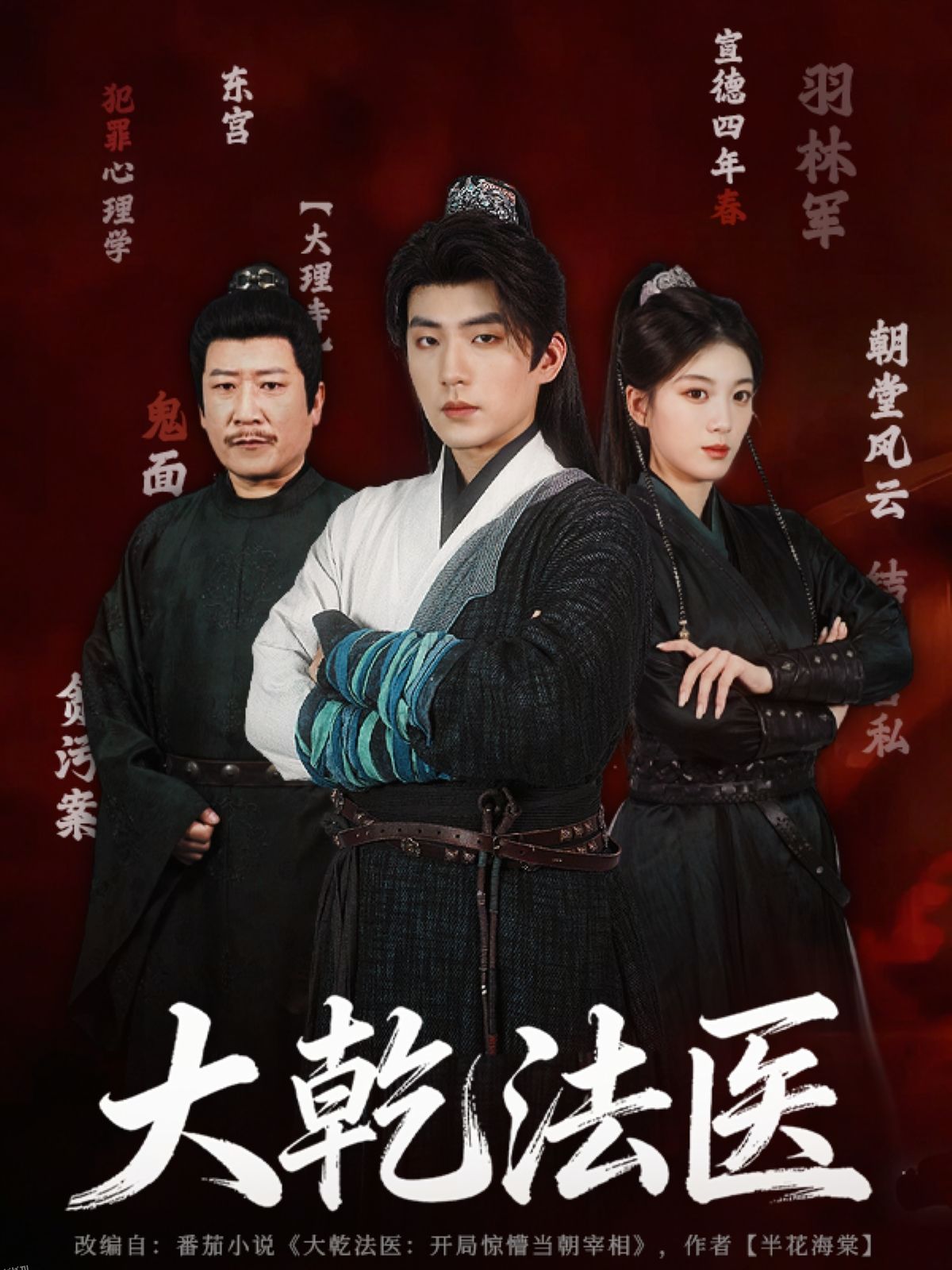 大乾法医 海报