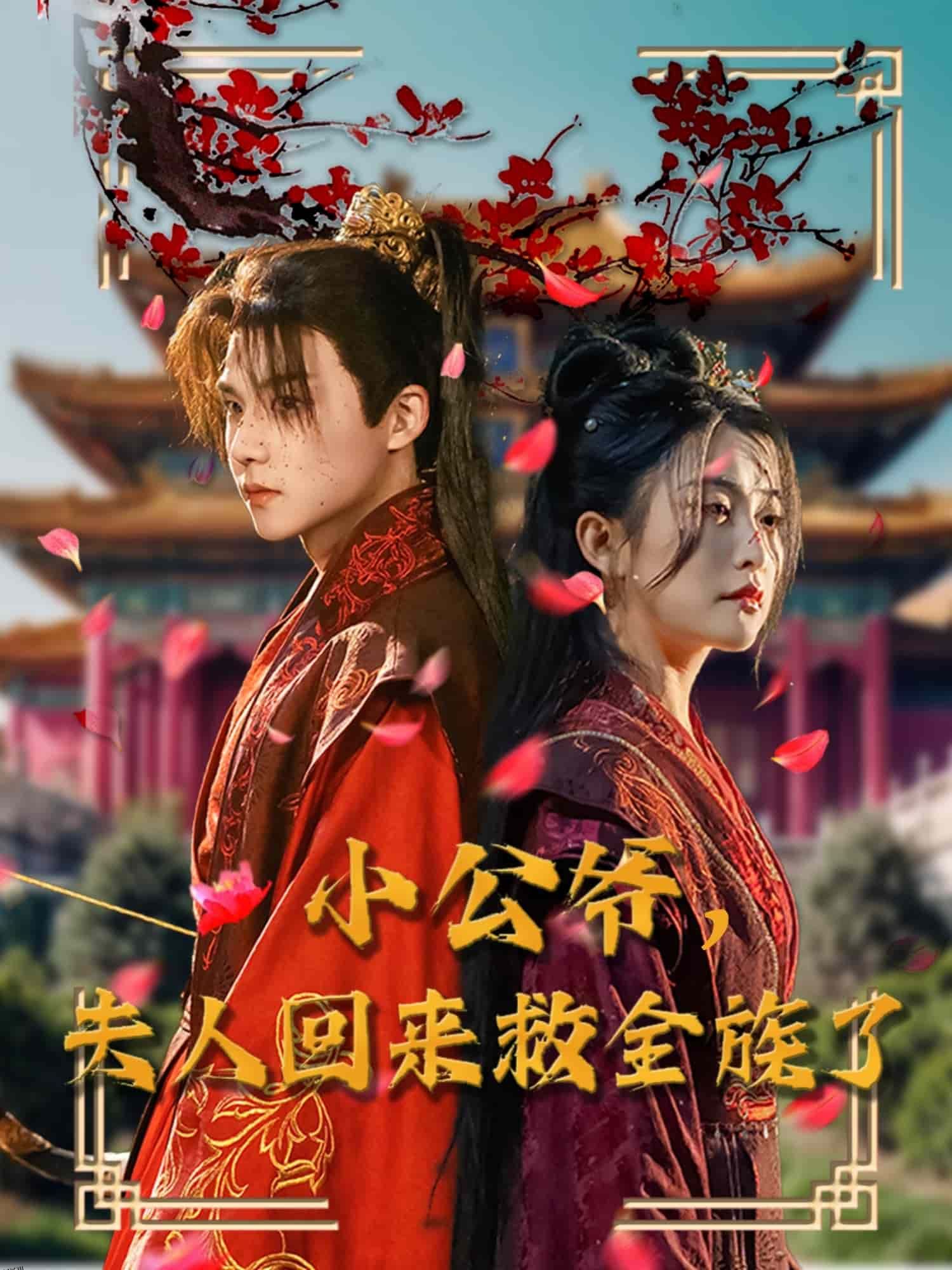 小公爷夫人回来救全族了 海报