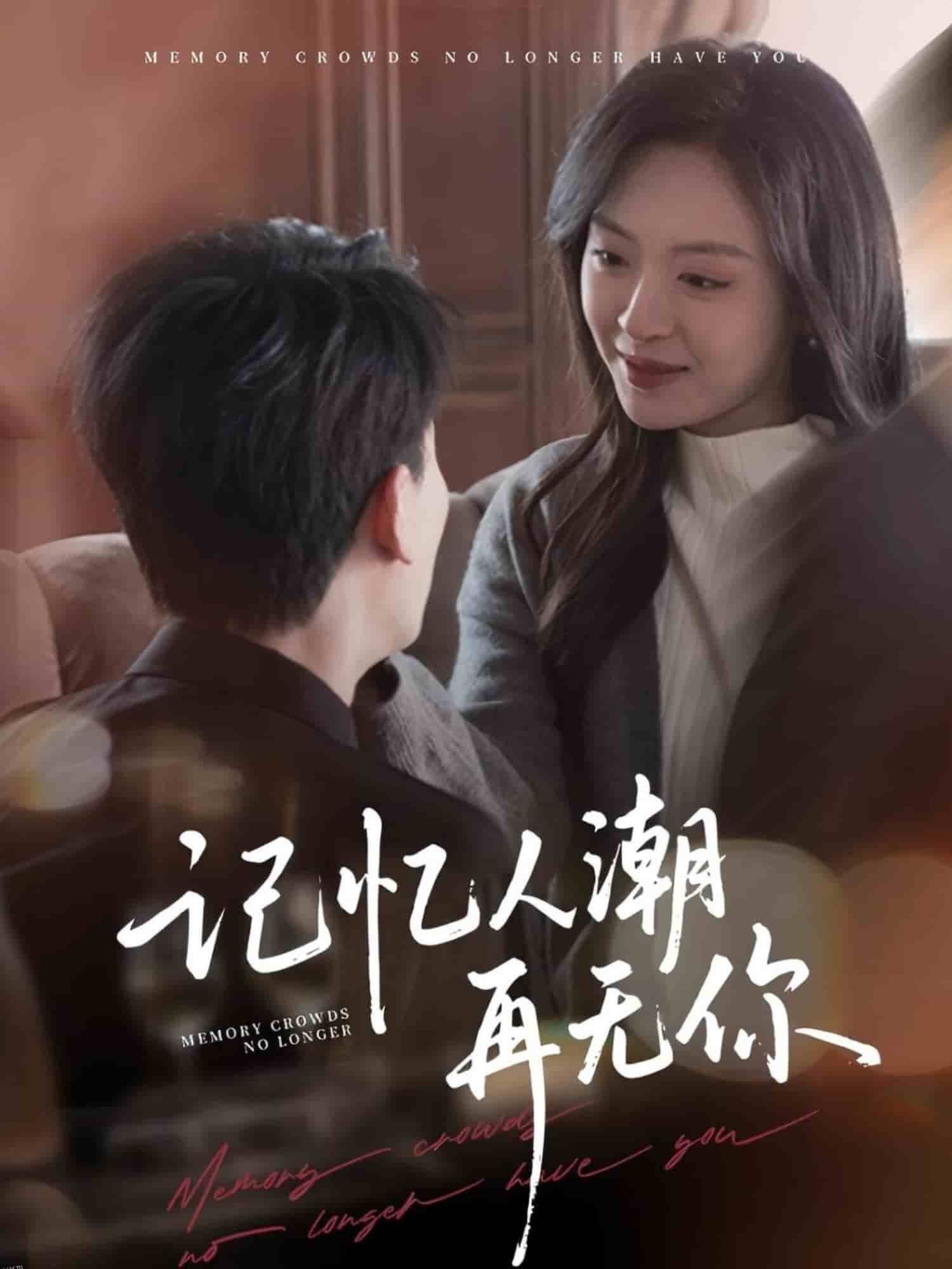 记忆人潮再无你 海报