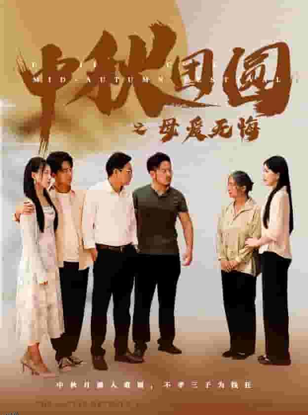 中秋团圆之母爱无悔 海报