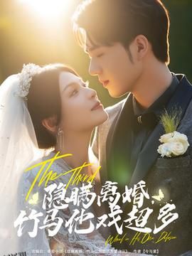 隐瞒离婚竹马他戏超多 海报