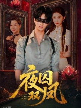 夜囚双凤 海报