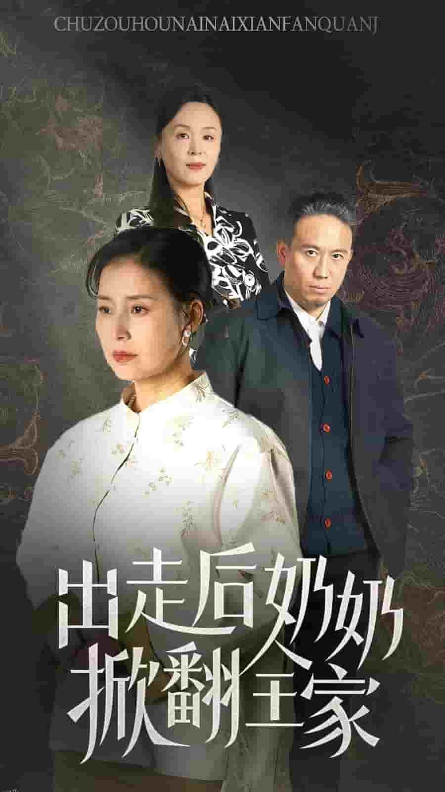 出走后奶奶掀翻全家 海报