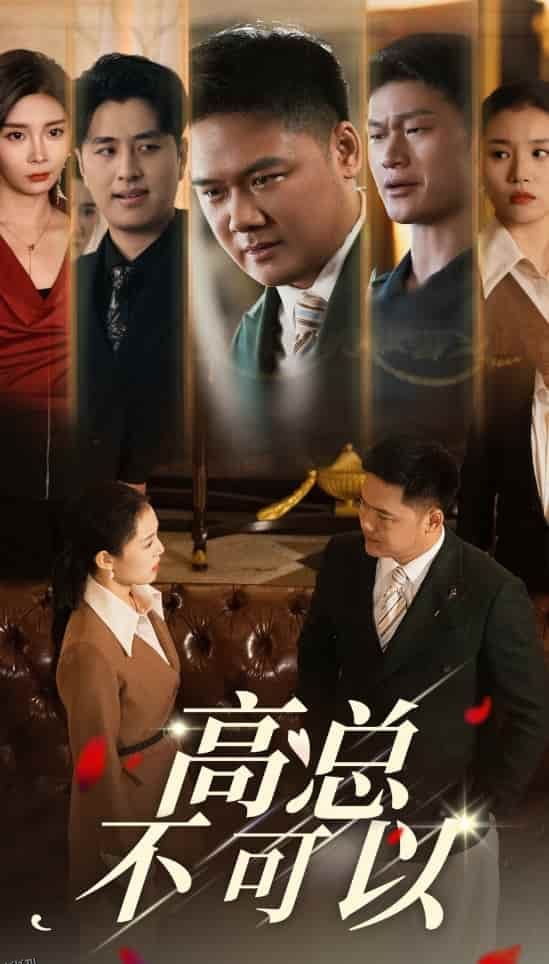 高总不可以 海报