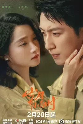 岁月有情时 海报