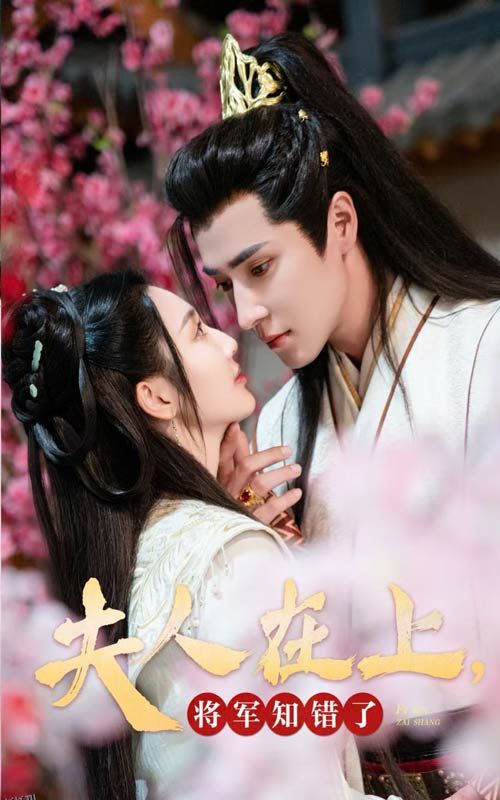 夫人在上将军知错了 海报