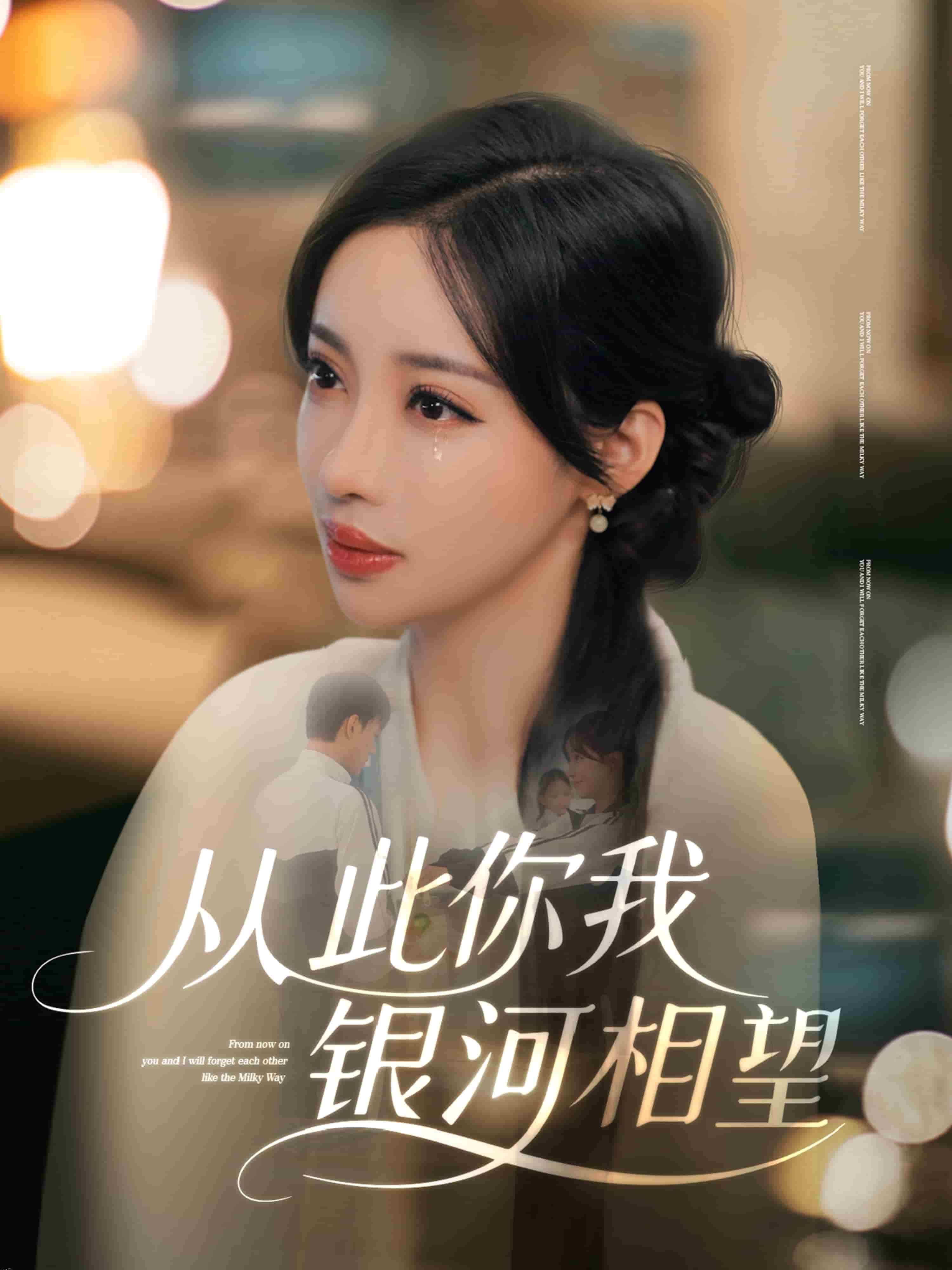 从此你我银河相望 海报