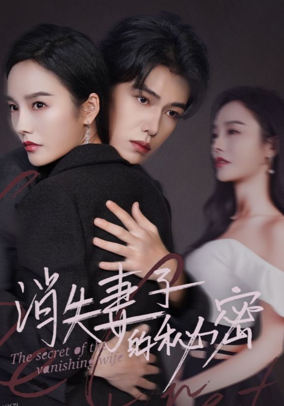 消失妻子的秘密 高清海报