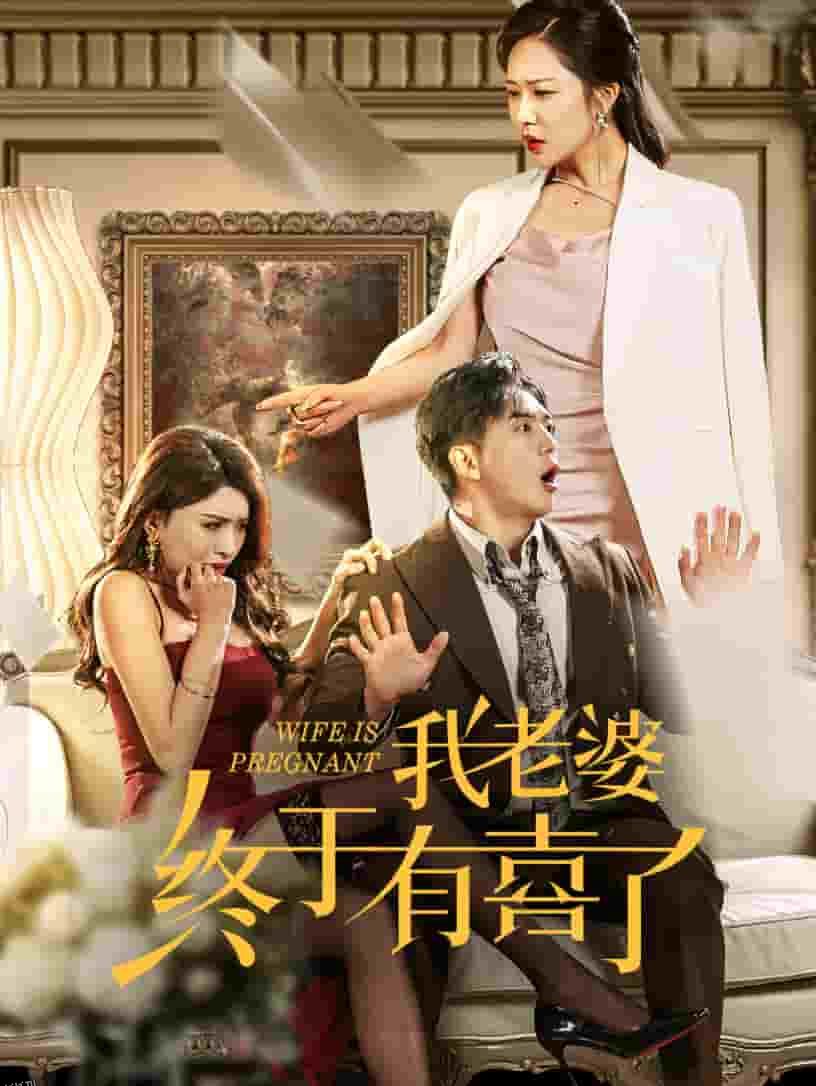 我老婆终于有喜了 海报