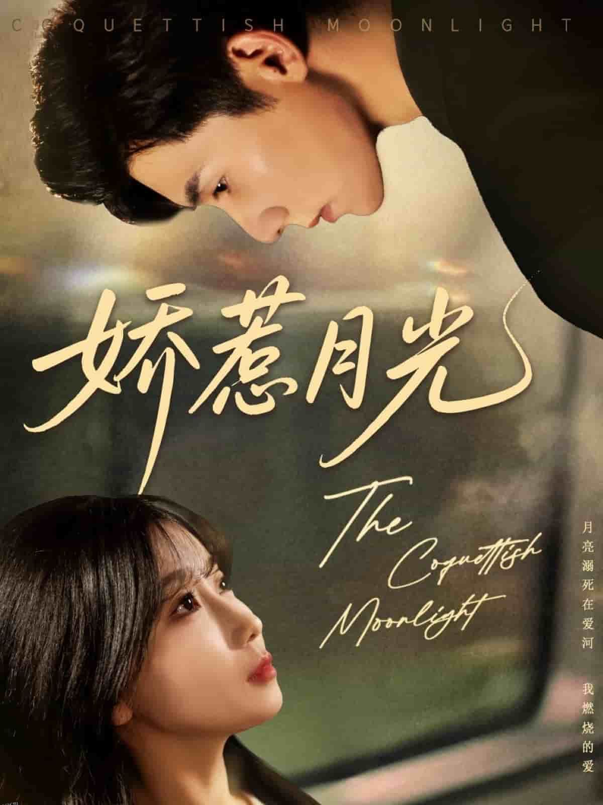 娇惹月光 海报