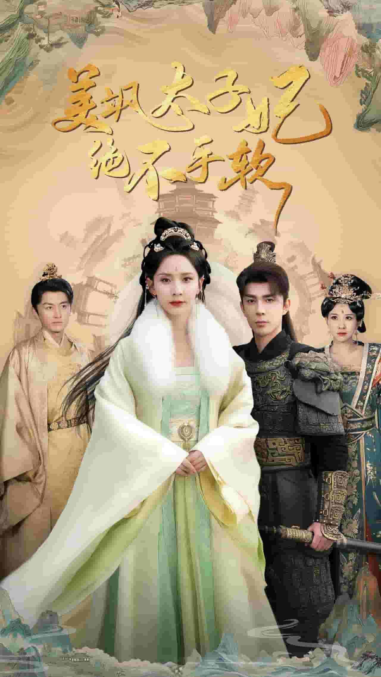 美飒太子妃绝不手软 海报