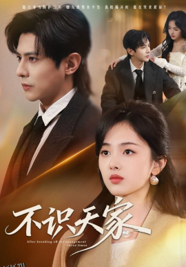 不识天家 海报