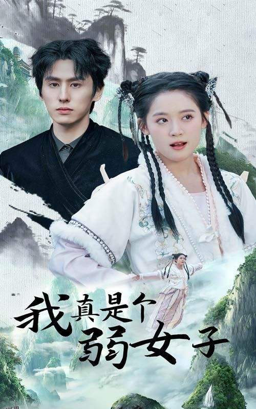 我真是个弱女子 海报