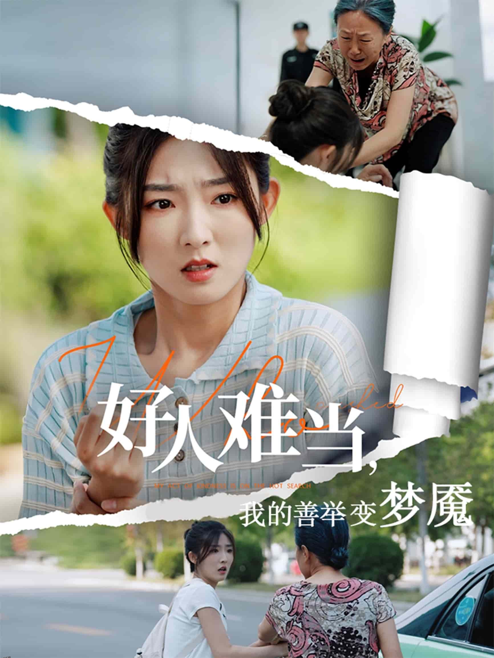 好人难当我的善举变梦魇 海报