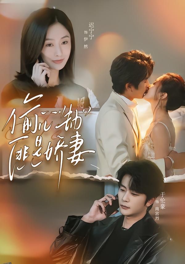 偷心劫匪是娇妻 海报