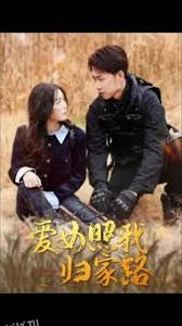 爱女照我归家路 海报