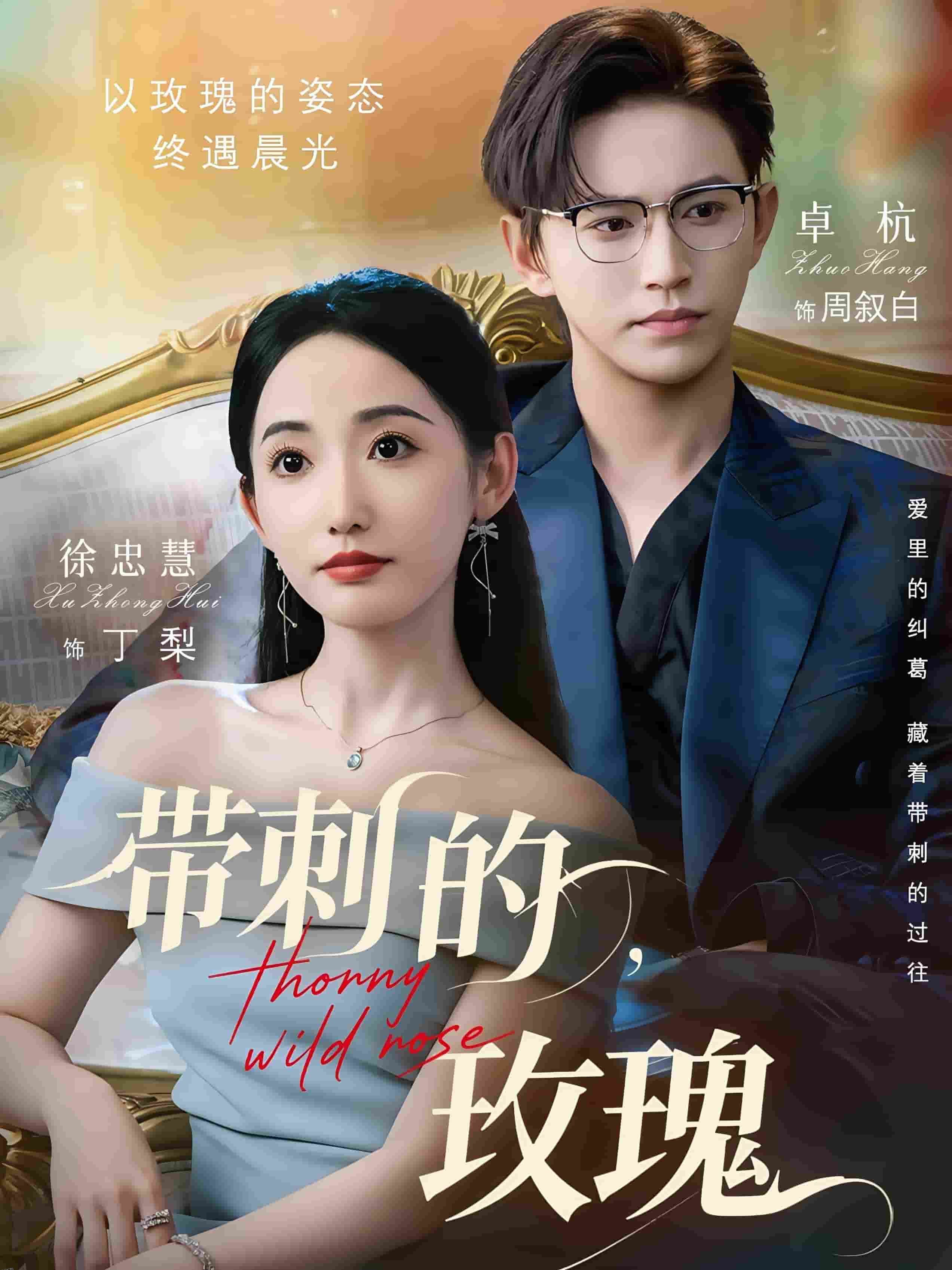 带刺的玫瑰 海报