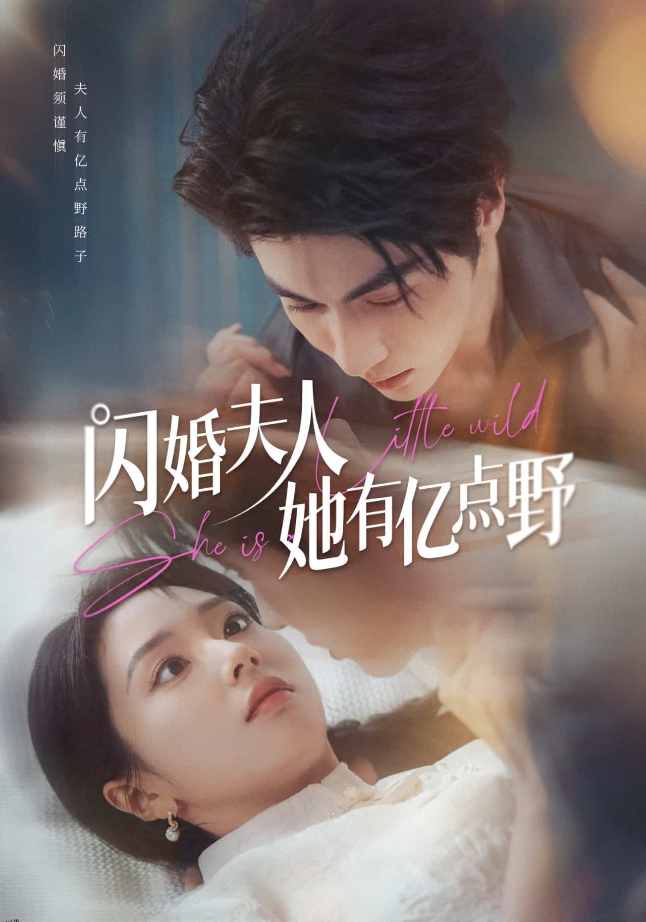 闪婚夫人她有亿点野 海报
