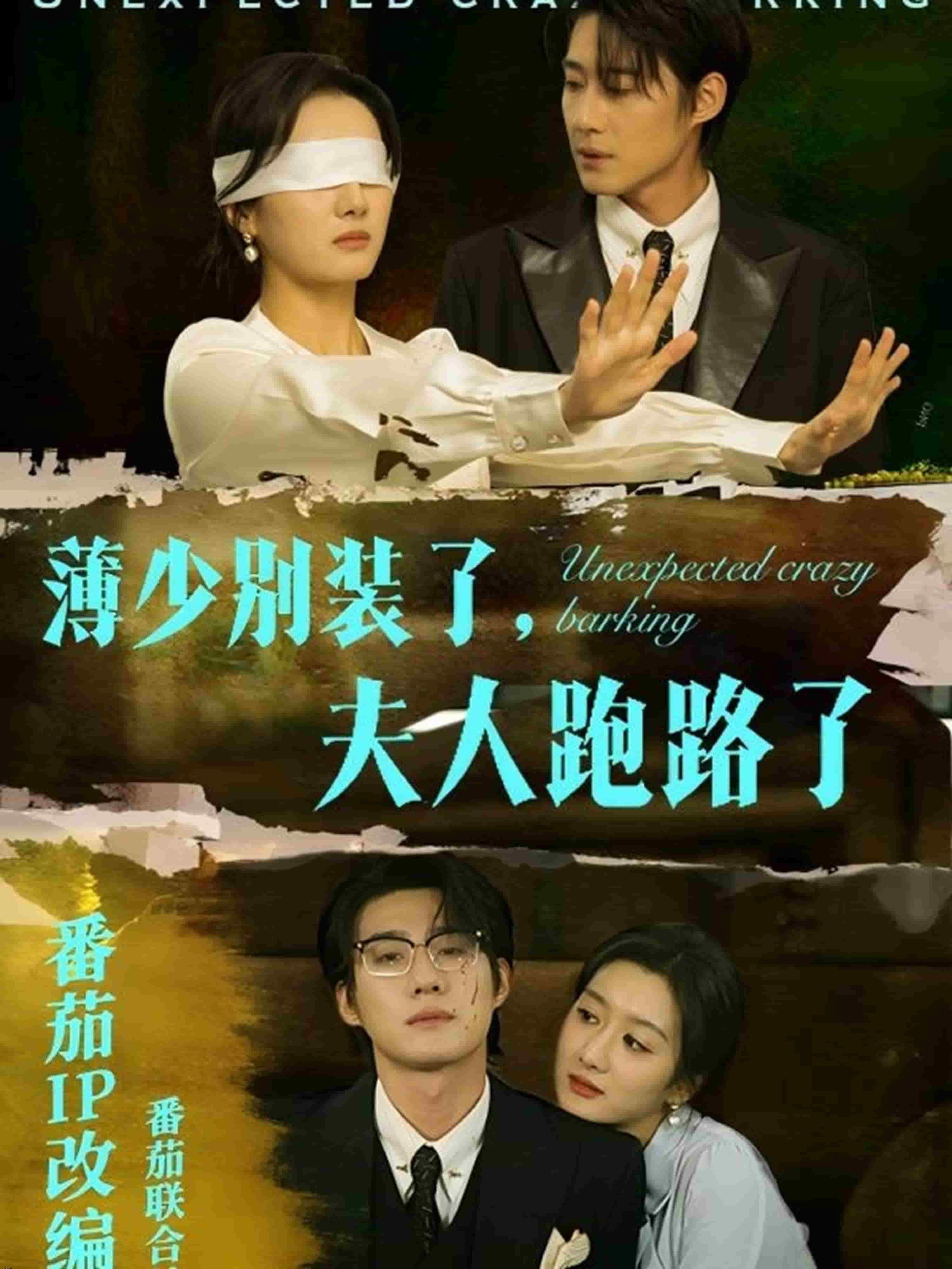 薄少别装了夫人跑路了 海报