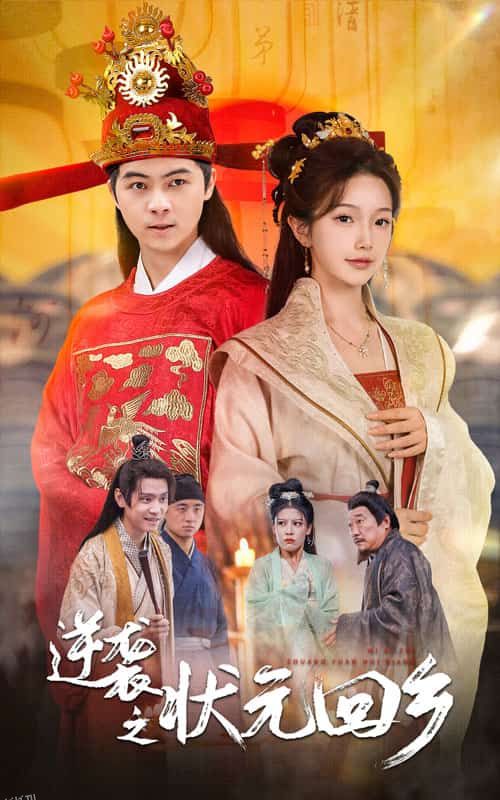 逆袭之状元回乡 海报