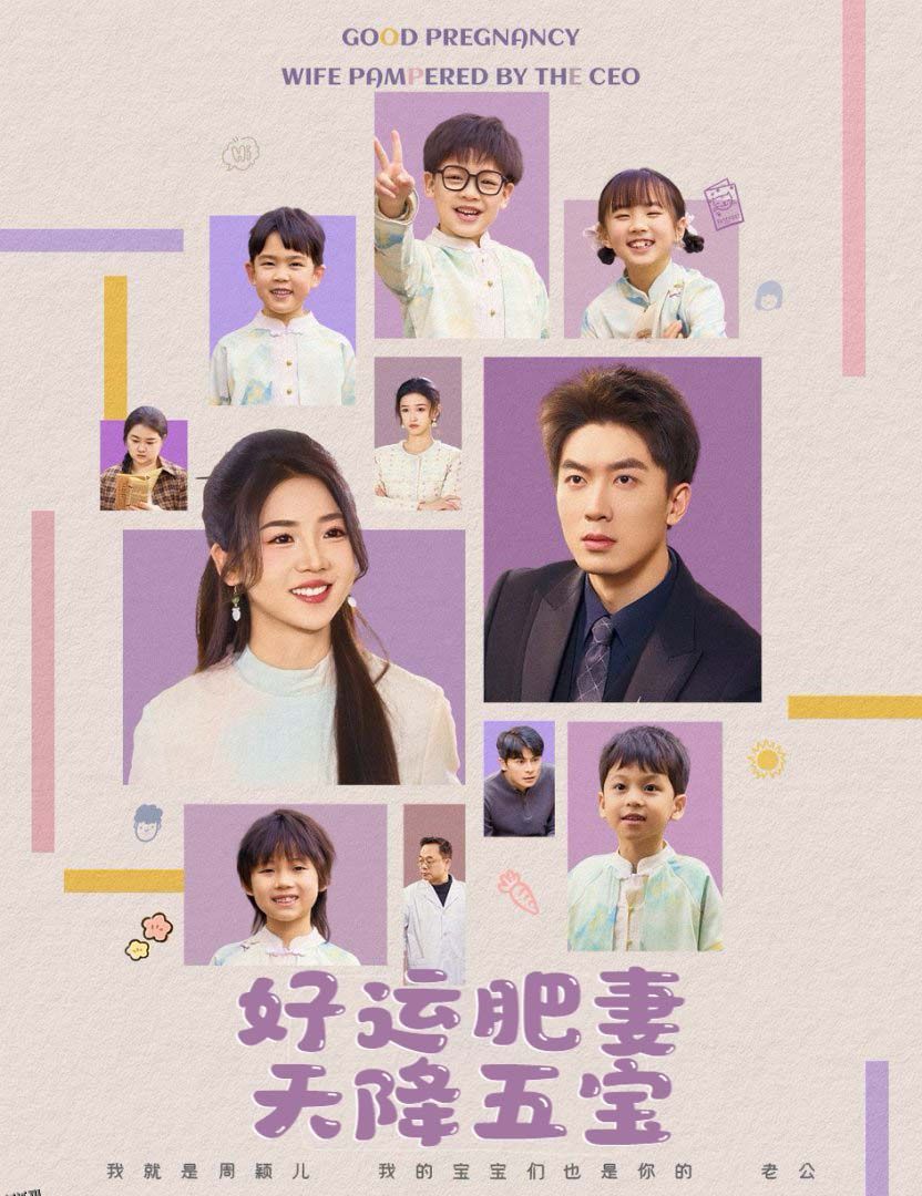 好运肥妻天降五宝 海报