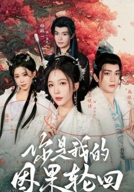 你是我的因果轮回 海报