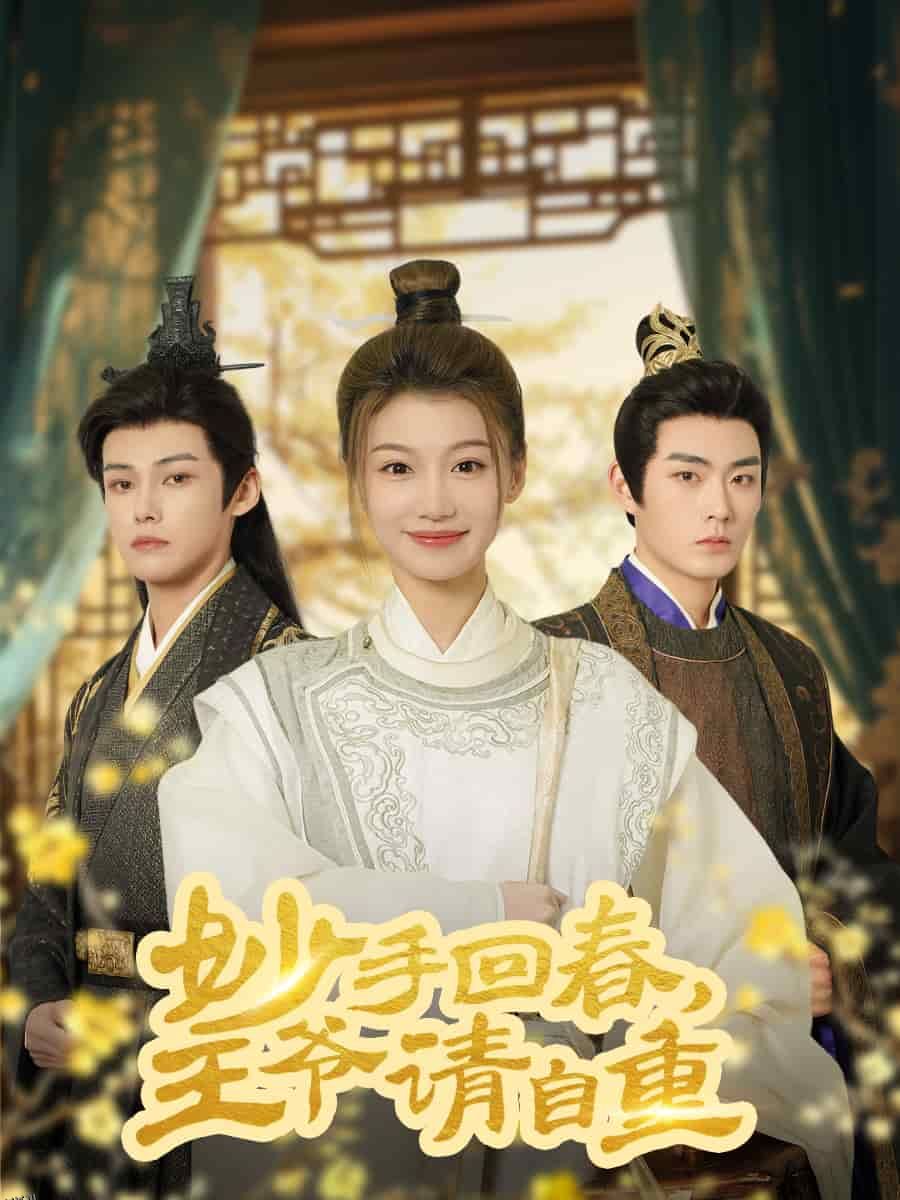 杏林误入凤雀台 海报