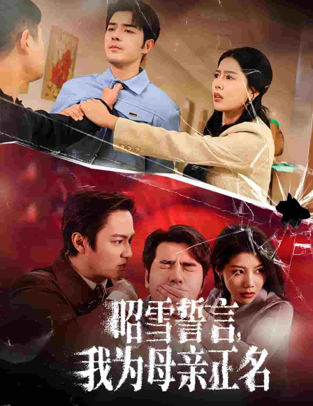 昭雪誓言我为母亲正名 海报