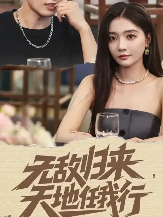 无敌归来天地任我行 海报