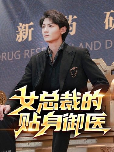 女总裁的贴身御医 海报