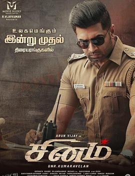 愤怒的警官 海报