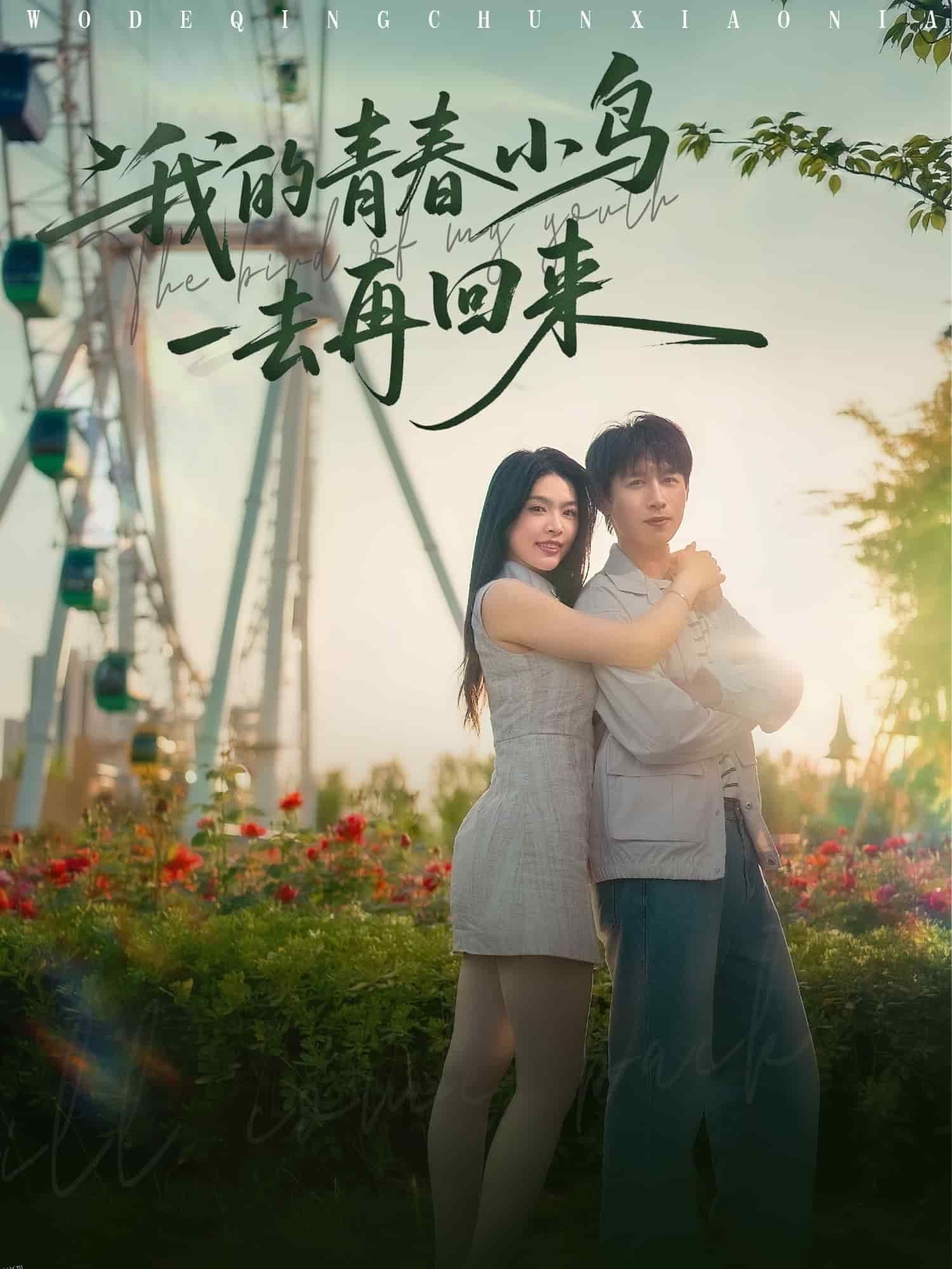 我的青春小鸟一去再回来 海报