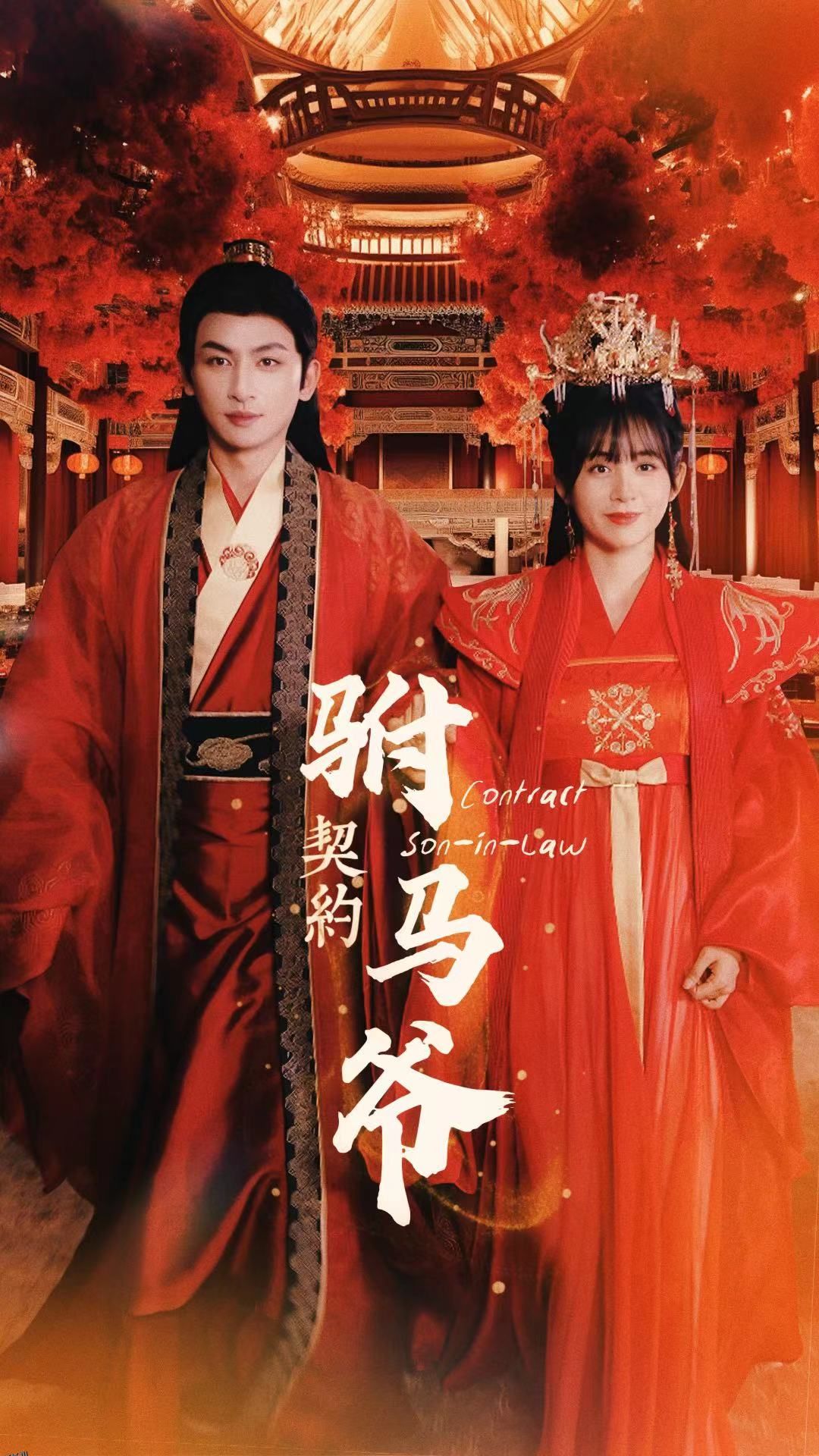 契约驸马爷 海报