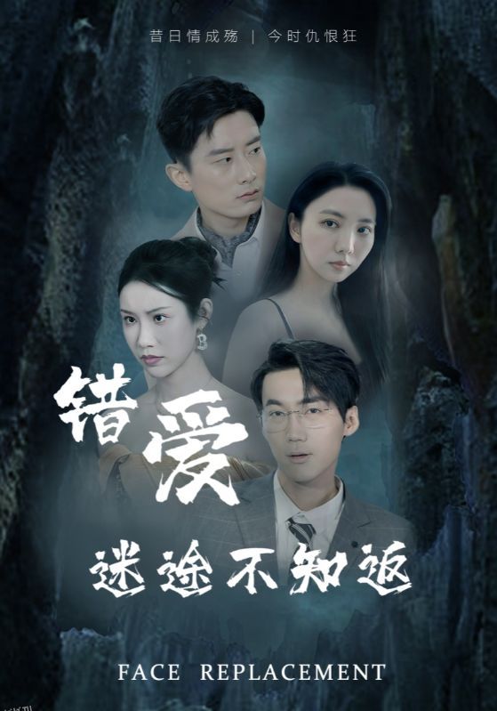 错爱迷途不知返 海报