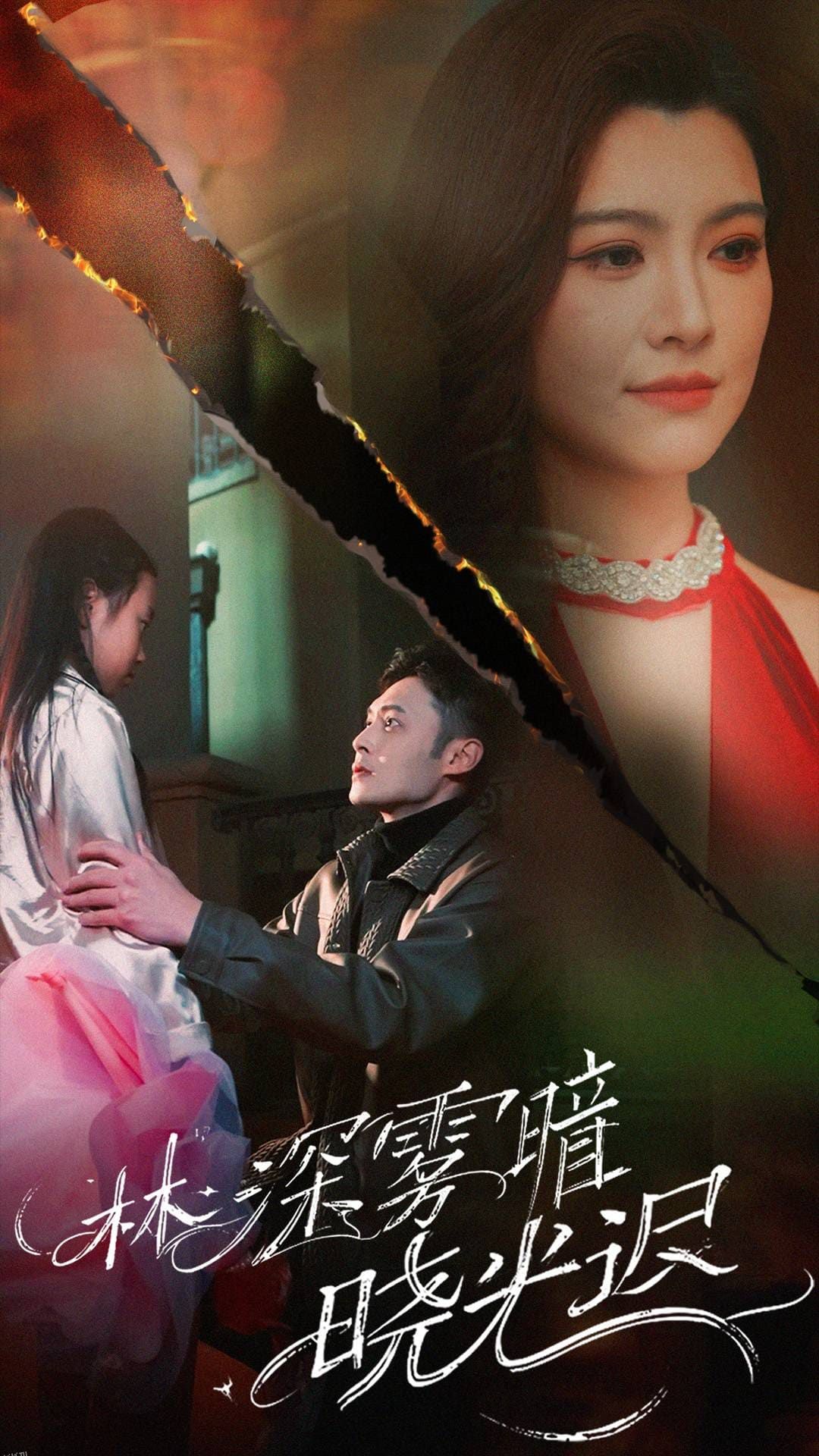 林深雾暗晓光迟 海报